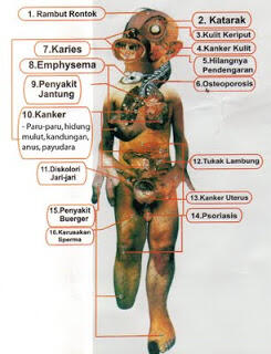 all about tentang bahaya merokok