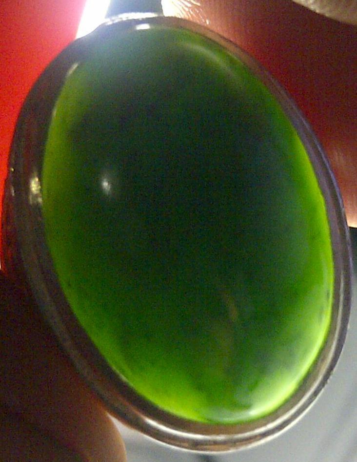 LUMUT ACEH NEPHRITE HIJAU KUMBANG JANTAN JOSS