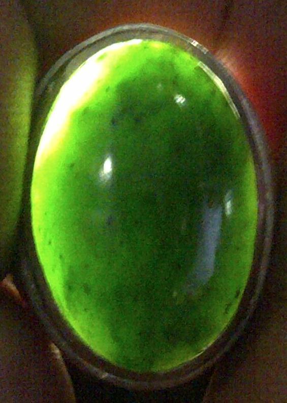 LUMUT ACEH NEPHRITE HIJAU KUMBANG JANTAN JOSS