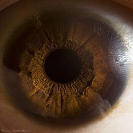 Berikut ini adalah foto-foto closeup mata manusia.