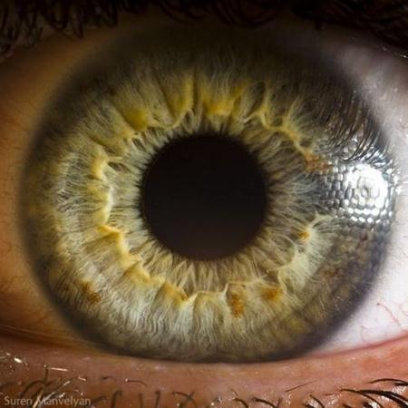 Berikut ini adalah foto-foto closeup mata manusia.
