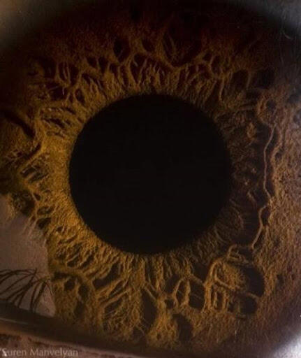 Berikut ini adalah foto-foto closeup mata manusia.
