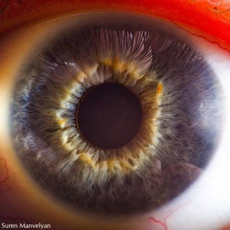 Berikut ini adalah foto-foto closeup mata manusia.