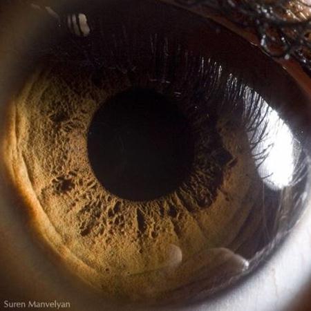 Berikut ini adalah foto-foto closeup mata manusia.