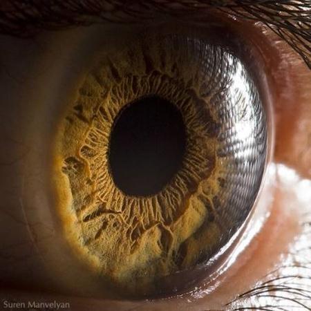 Berikut ini adalah foto-foto closeup mata manusia.