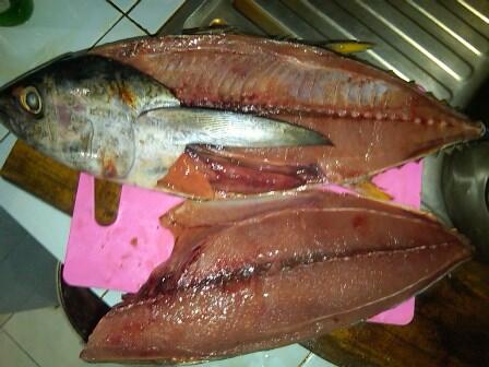 IKAN TUNA FRESH