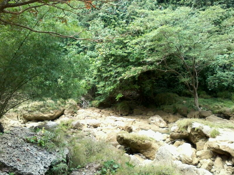 Ujung Genteng dan Curug Cikaso surga tersembunyi di Sukabumi 