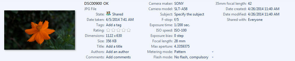 Hasil Jepretan Sony Alpha .............