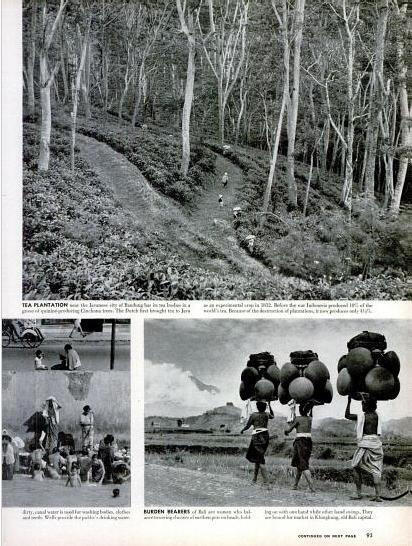 The New Nation of Indonesia, Majalah LIFE Edisi 13 Februari 1950