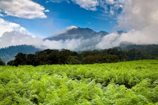 &#91;PIC&#93; Pemandangan Indah khas Indonesia Versi National Geographic