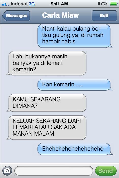 Kejadian Kocak Kalau Kucing Bisa SMS-an Sama Agan