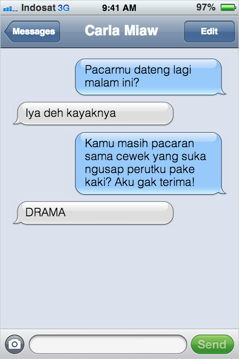 Kejadian Kocak Kalau Kucing Bisa SMS-an Sama Agan