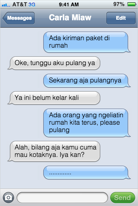 Kejadian Kocak Kalau Kucing Bisa SMS-an Sama Agan