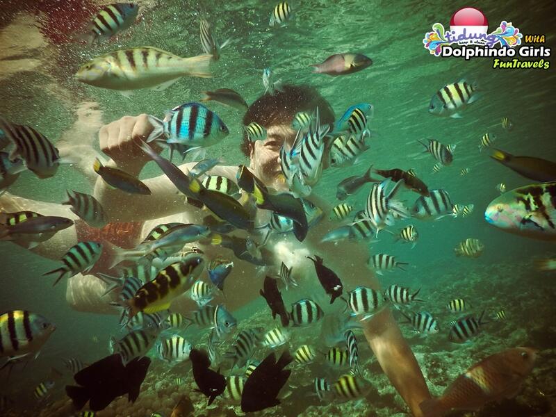 6 Spot Snorkeling Favorit di Indonesia