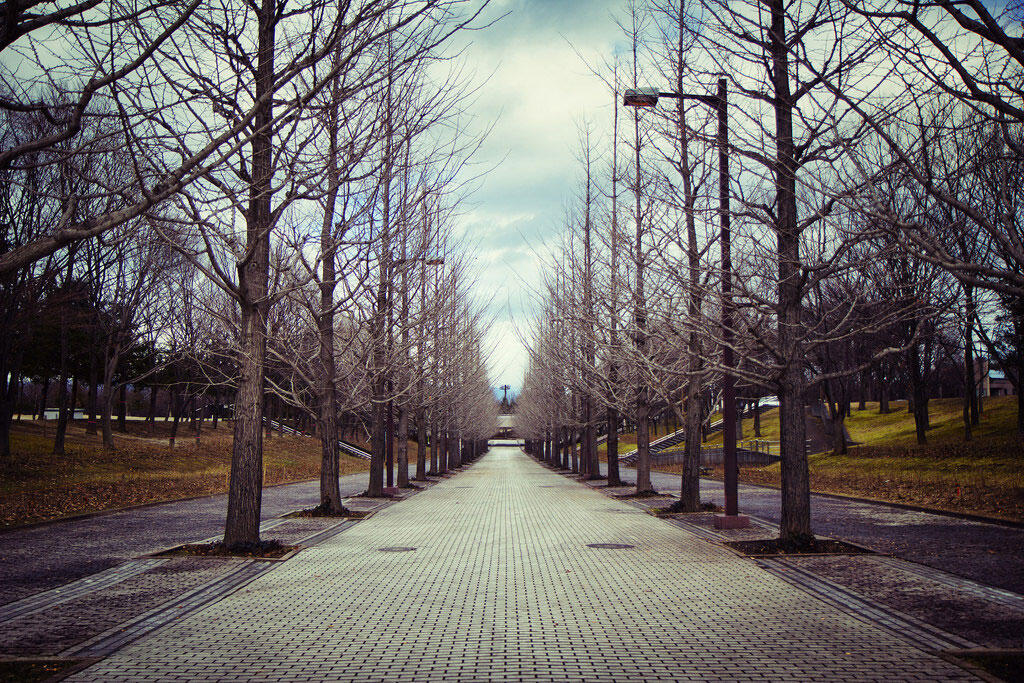 Menjelejahi Jepang dengan Cara Yang Berbeda