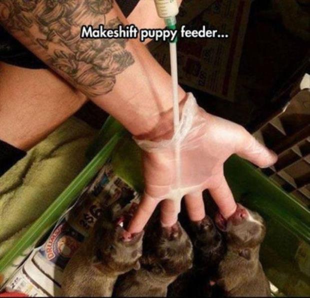Orang Pintar Mengatasi Masalah Cerdik Atau Bego ?