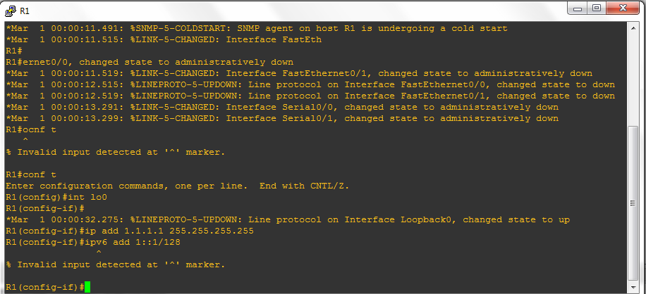 Invalid input data перевод