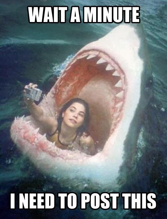 Macam - Macam Gaya Selfie versi Dunia