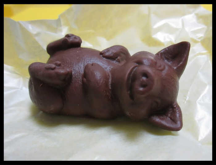 COKLAT BABI &#91;100% pasti dan tidak terbantahkan lagi!&#93;