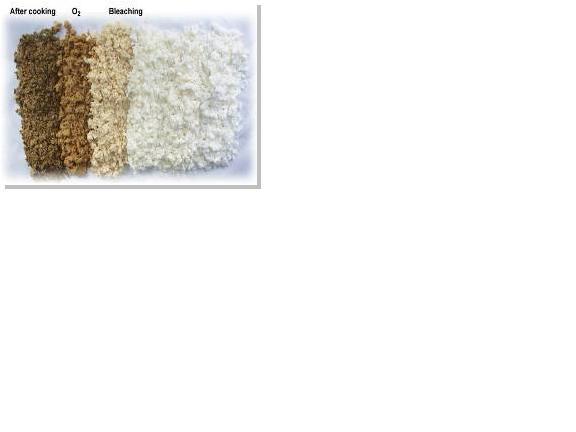 Khusus wanita (Sis wajib masuk !!!!)