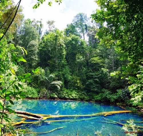 Labuan Cermin-Danau unik di Berau, Kaltim yang memiliki 2 rasa sekaligus (asin&amp;tawar)