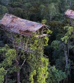 Siapa Bilang Papua Tidak Memiliki Bangunan Pencakar Langit