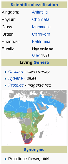 Hyena Bukan Anjing, Tapi Predator Buas yang Licik &amp; Pengecut? (Mengenal Hyena) 