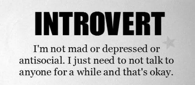 Dibalik Sosok "INTROVERT"