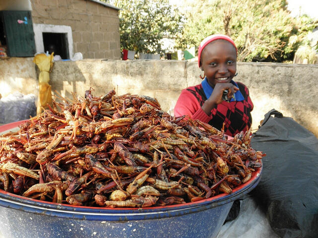 7 Makanan unik (dan ekstrem) dari Afrika