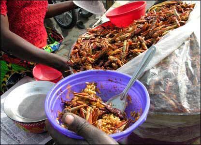 7 Makanan unik (dan ekstrem) dari Afrika