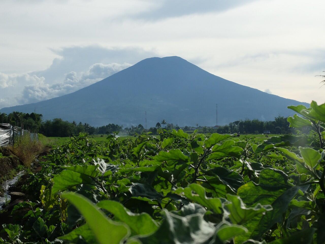 ( CATPER) Gunung Dempo dan Indahnya Pagar Alam 24-30 Mei 2014