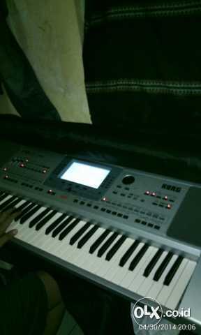 KORG PA50SD