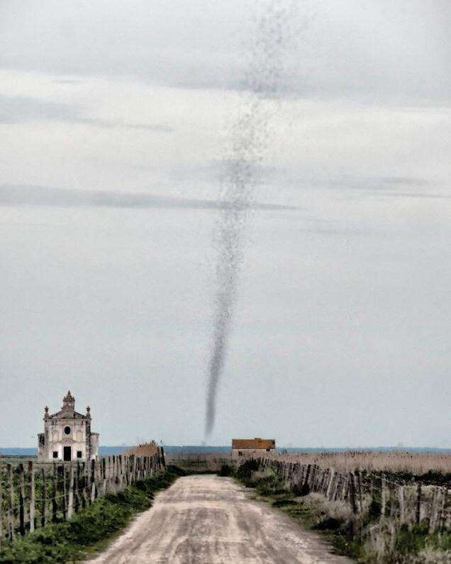 PENAMPAKKAN TORNADO NYAMUK. 