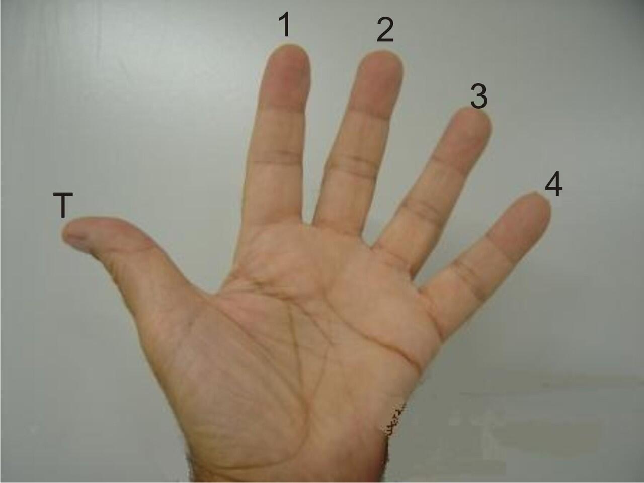 Inilah 7 Cara Nyeleneh yang Digunakan Untuk Menerka Panjang Mr P