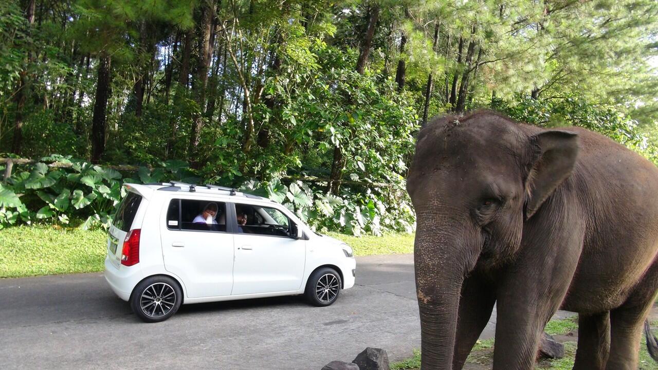 55 Gambar Modifikasi Mobil Karimun Baru Terkeren  Motor Punk