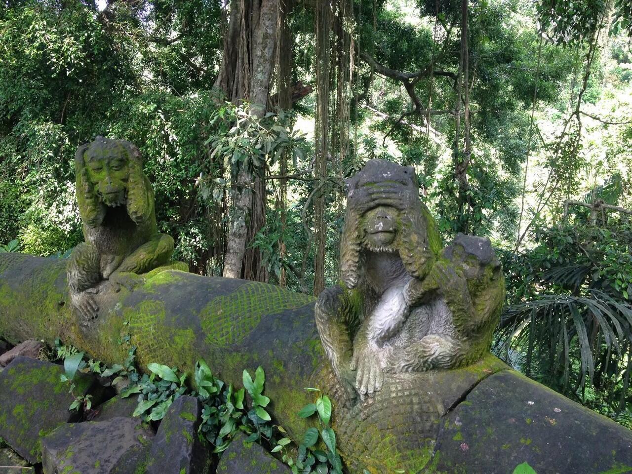 &#91;Pict&#93; 10 Hal Yang Wajib Dilakukan Di Ubud