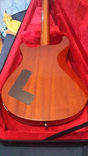 RADIX DELUXE SUNBURST GUITAR second