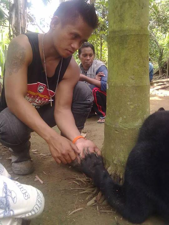 Pembunuhan Keji (Fauna Asli Kalimantan), Polisi Masuk!!