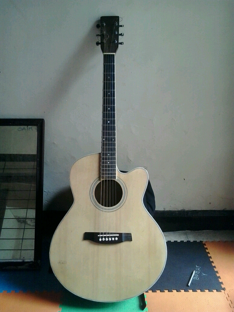 Akustik Gitar Custom