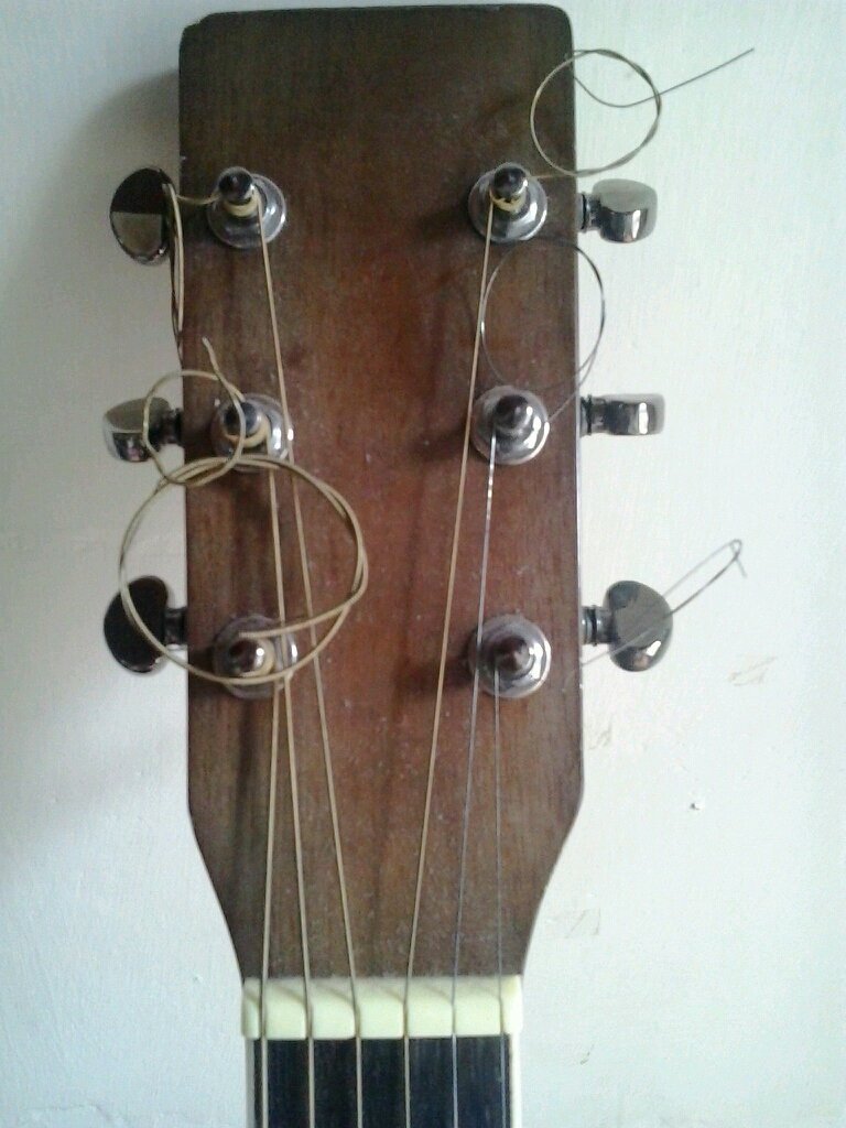 Akustik Gitar Custom