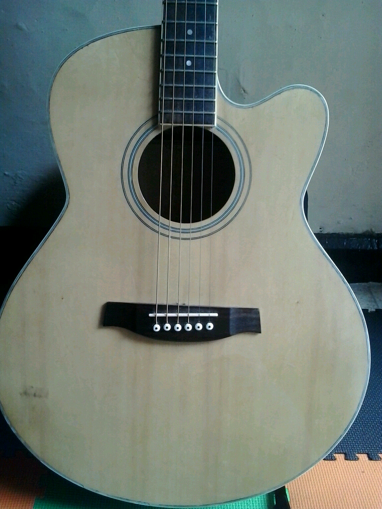 Akustik Gitar Custom