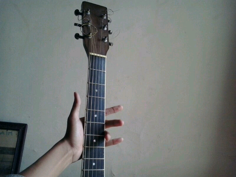 Akustik Gitar Custom