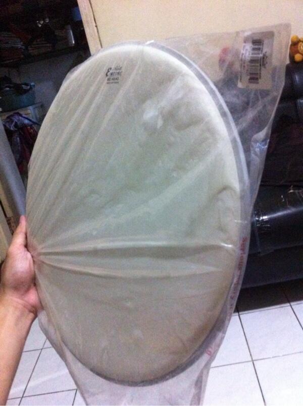 WTS: Encore by Remo DrumHead