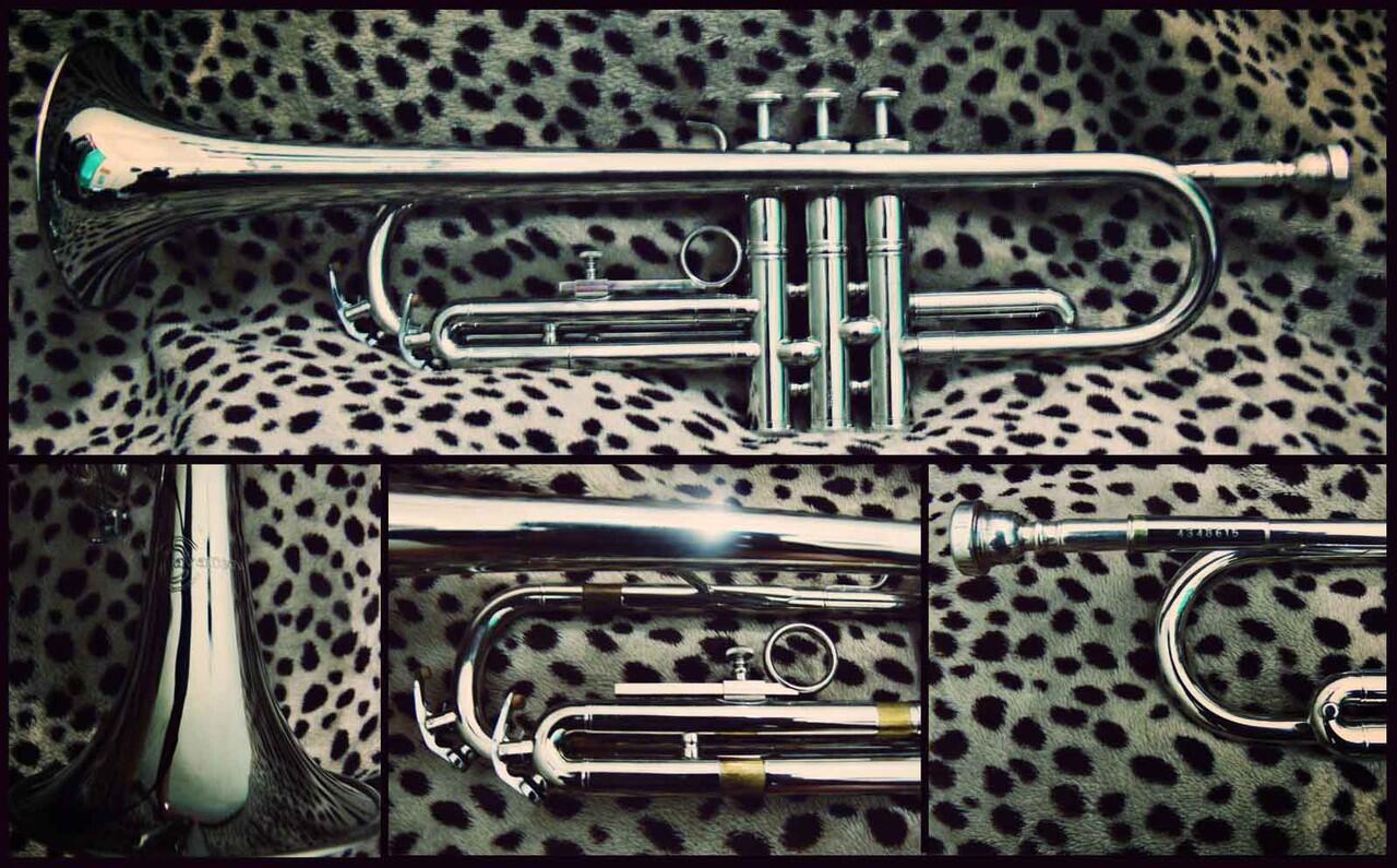 Jual Trumpet / Terompet / Trompet Cavaliers (Bekas Artis Indie)