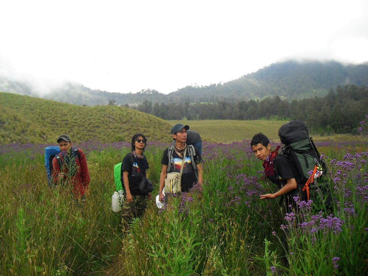 pendakian gunung tertinggi di pulau jawa