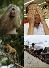 NGAKAK BANGET NGELIAT GAMBAR2 INI