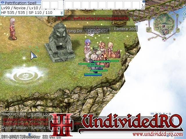 Private Server - Undivided RO