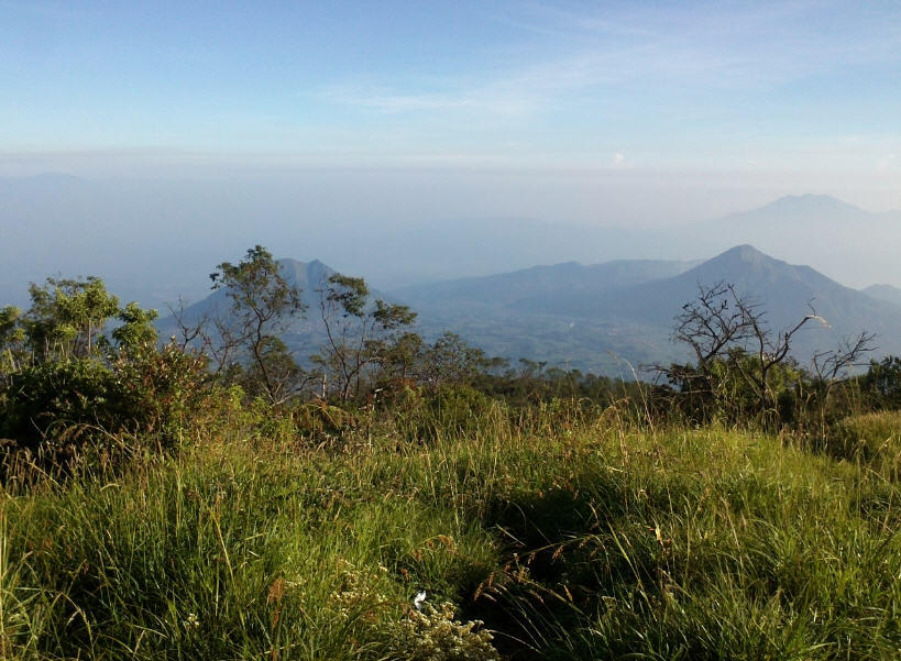 &#91;CATPER&#93; Keindahan yang terangkum diatas Puncak Merbabu 3142 Mdpl (28-31 Mei 2014) 