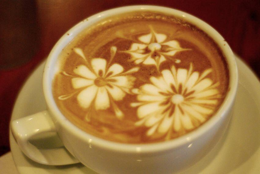 Dilema yg hanya dipahami oleh Si Pencinta Kopi (Coffee Addicted)