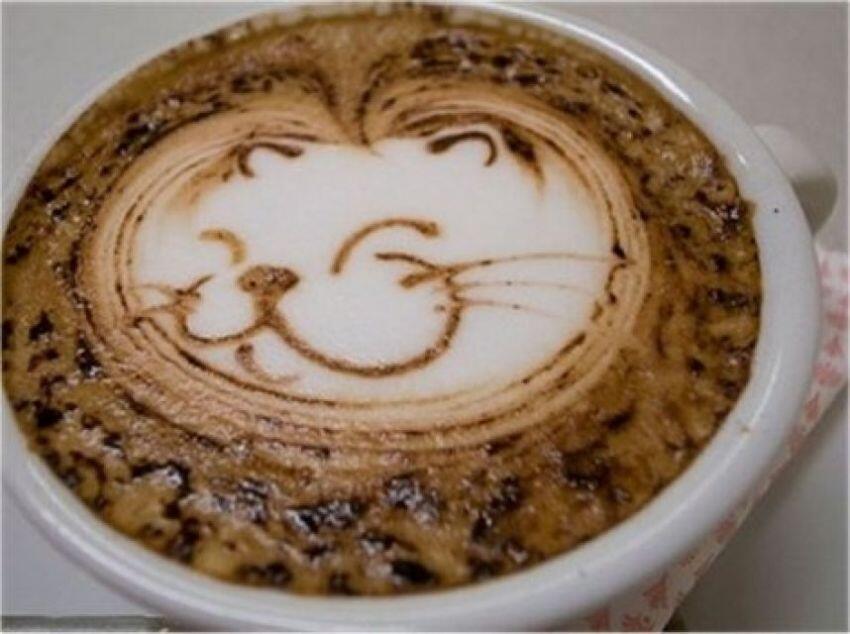 Dilema yg hanya dipahami oleh Si Pencinta Kopi (Coffee Addicted)